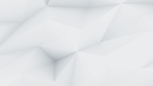 demo image 00001 1