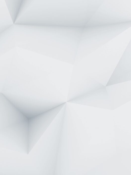 demo image 00001 1