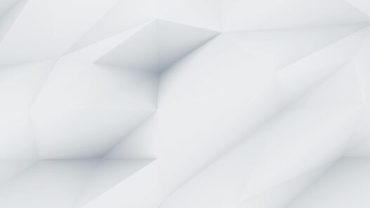 demo image 00002 1