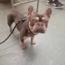 1000081706 scaled.webp