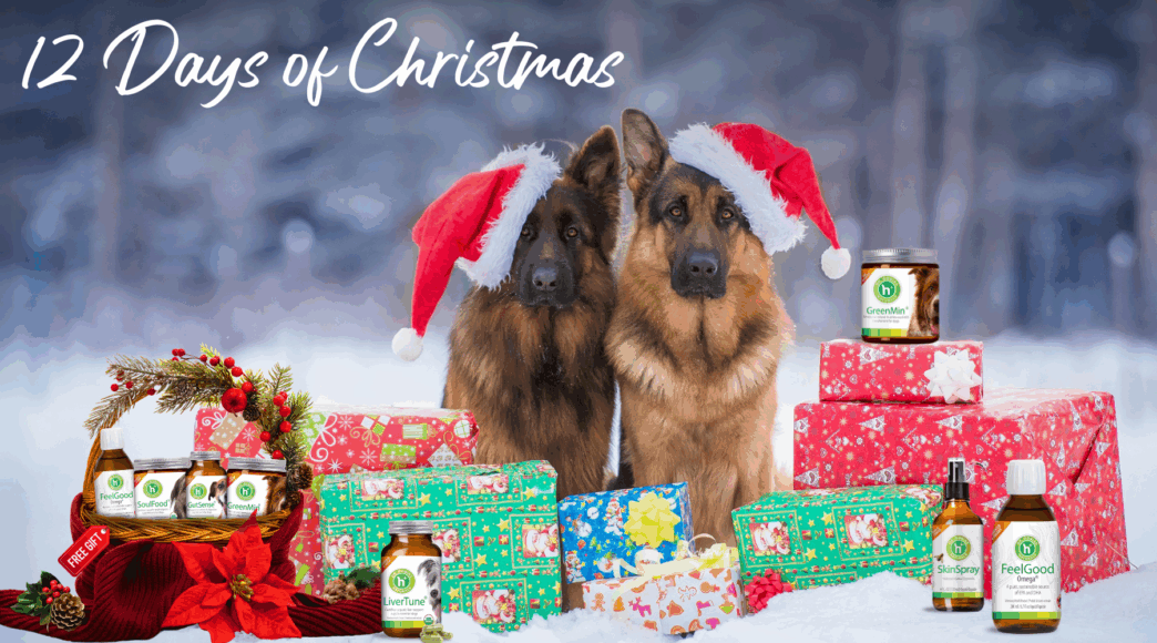 12 days of Christmas nominate a friend or family member