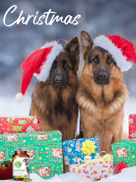 12 days of Christmas nominate a friend or family member