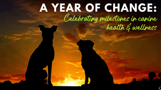 A Year Of Change Celebrating Milestones in Canine Health and Wellness 9d2868c9 22c2 4880 994a ffc4fa
