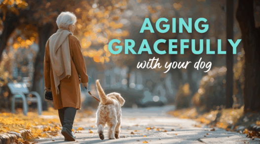 Aging gracefully with your dog fd22f713 a991 4f7e 91b1 23e385219664