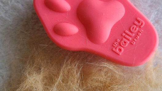 Bailey Brush