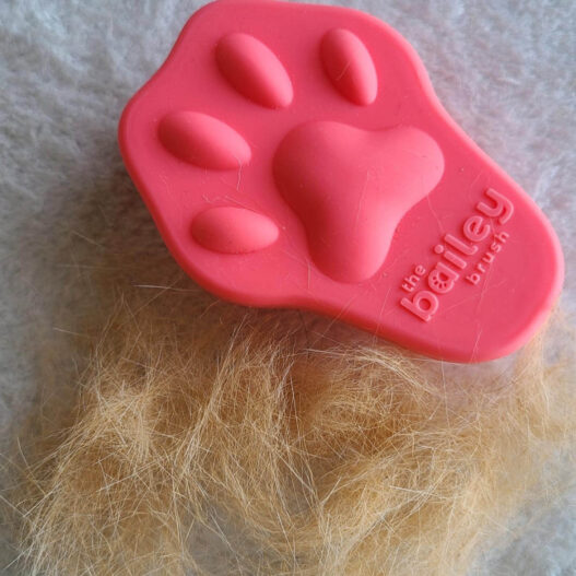 Bailey Brush