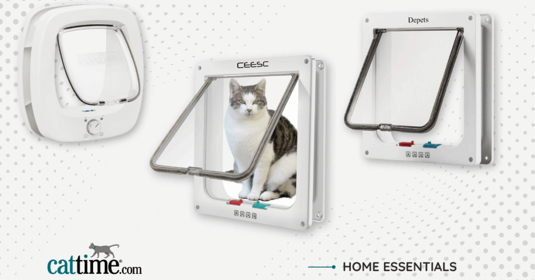 Best Cat Doors