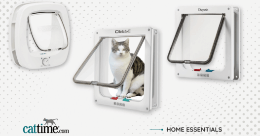 Best Cat Doors