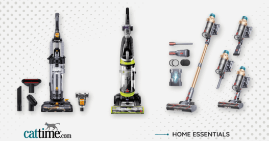 Best Vacuums for Pet Hair