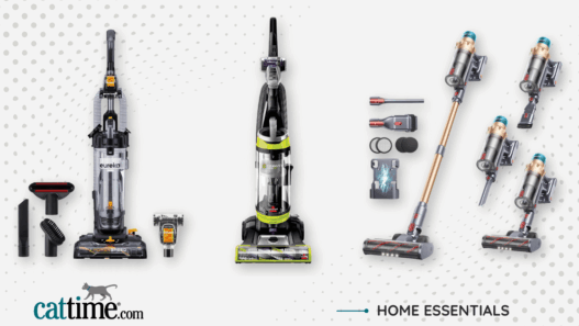 Best Vacuums for Pet Hair
