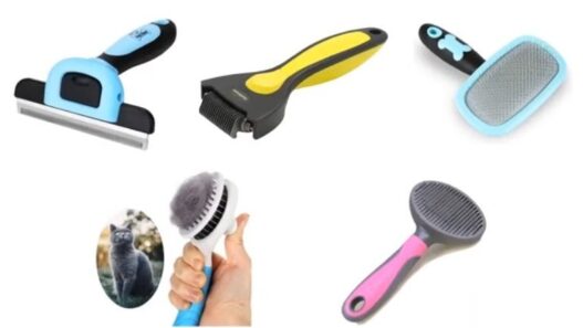 Best Brush for Short Hair Cats 313299