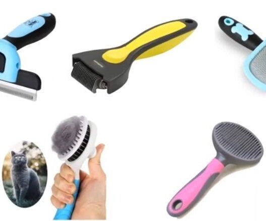 Best Brush for Short Hair Cats 313299