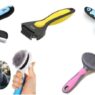 Best Brush for Short Hair Cats 313299