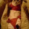 BikiniCat