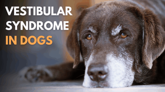 Blog Headers 2025 04 22T115430.312 5837a6d7 9cb7 477a 9536 8bef4d511d58