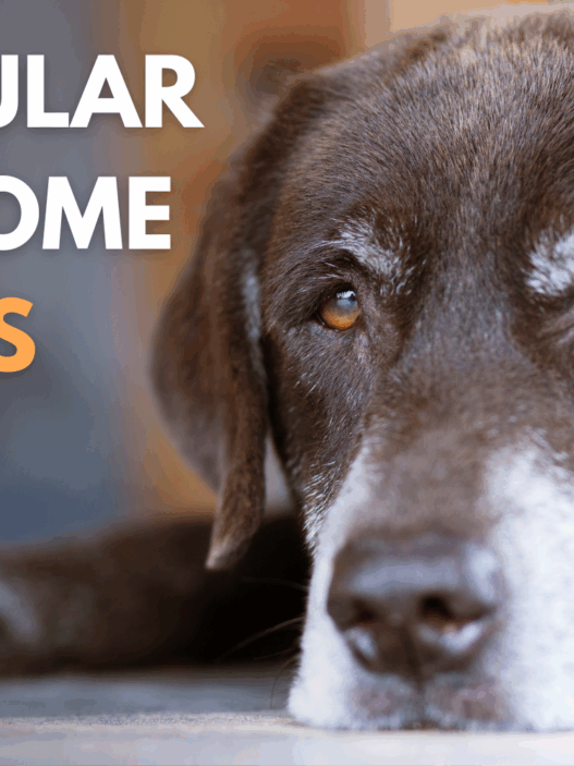 Blog Headers 2025 04 22T115430.312 5837a6d7 9cb7 477a 9536 8bef4d511d58