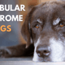 Blog Headers 2025 04 22T115430.312 5837a6d7 9cb7 477a 9536 8bef4d511d58