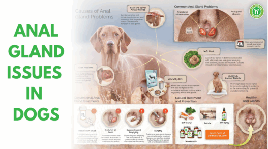 Blog Headers 2025 05 05T092757.768