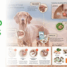 Blog Headers 2025 05 05T092757.768