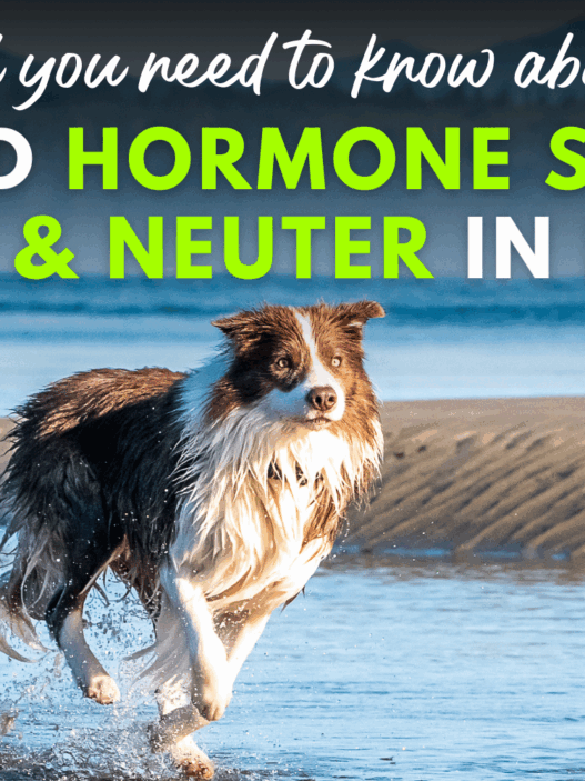 Blog Headers 2025 05 08T143846.818 8ffcf2a2 da86 4fb1 98a4 52246b5a71f2