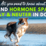 Blog Headers 2025 05 08T143846.818 8ffcf2a2 da86 4fb1 98a4 52246b5a71f2