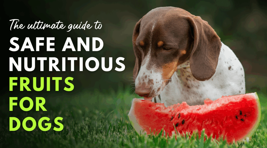 Blog Headers 2025 05 09T212120.467