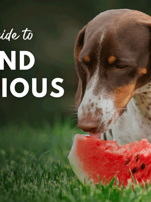 Blog Headers 2025 05 09T212120.467