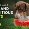 Blog Headers 2025 05 09T212120.467