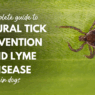 Complete Guide to Natural Tick Prevention and Lyme Disease in Dogs 6371be08 a8e7 4a40 82bb 698159a97