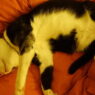 DSC03503 e1746860872821