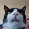DSC06965