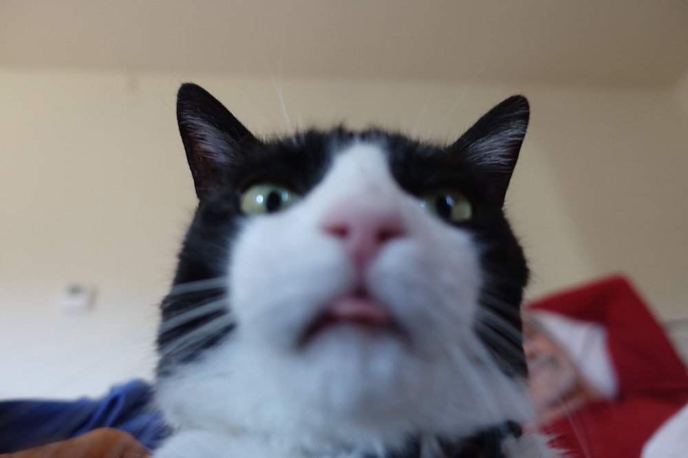 DSC06965