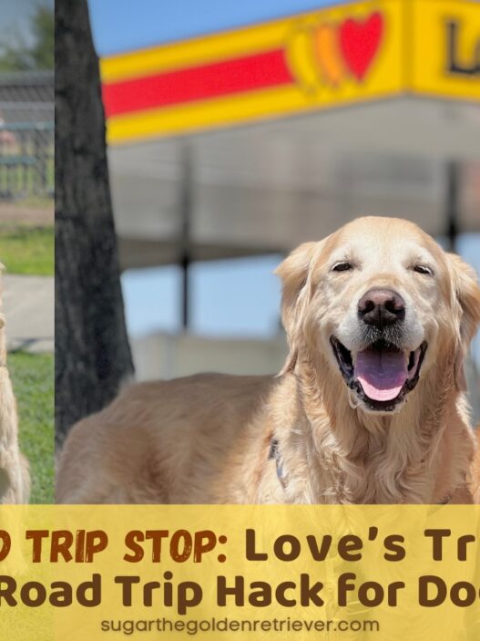 Dog Friendly Loves Travel Stops