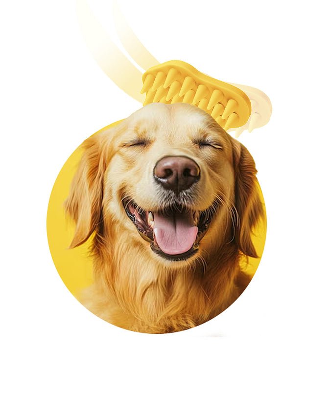 DogBeingBrushedwithBaileyBrush 839241