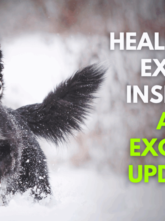 Empowering Dog Lovers with Health Tips Expert Insights and Exciting Updates