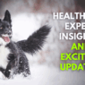 Empowering Dog Lovers with Health Tips Expert Insights and Exciting Updates