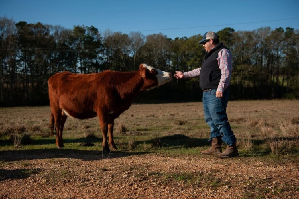 Farm Veterinarians