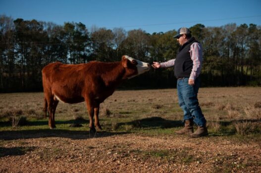 Farm Veterinarians