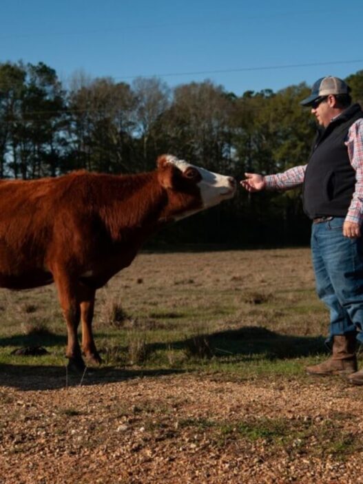 Farm Veterinarians