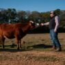 Farm Veterinarians