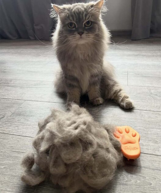 FurLoaf 765210