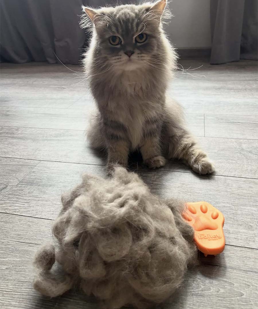 FurLoaf 765210