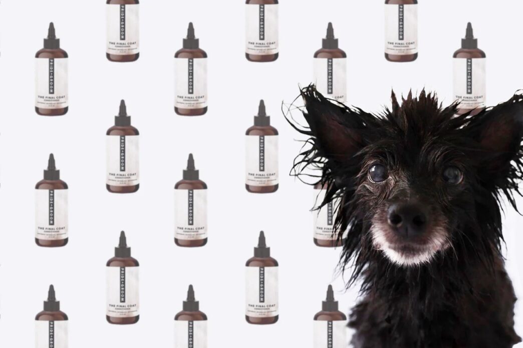 Grooming Products for Your Dogs Skin