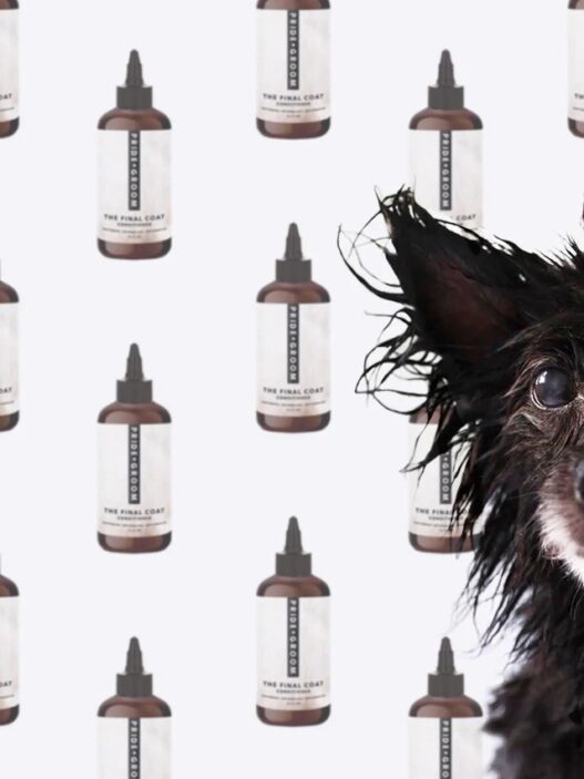 Grooming Products for Your Dogs Skin