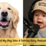 How I Turned My Dog Into A Talking Baby Podcaster Using AI