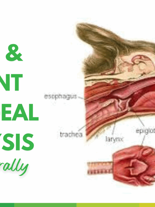 How to treat Laryngeal Paralysis in Dogs naturally