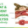 How to treat Laryngeal Paralysis in Dogs naturally
