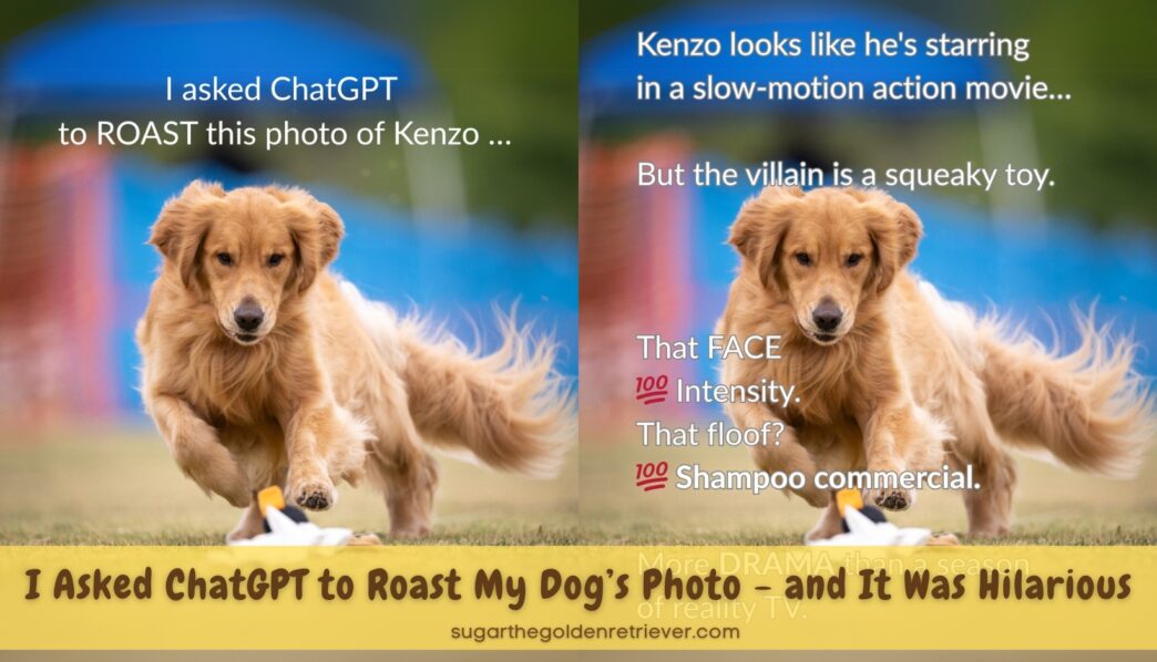 I asked ChatGPT To Roast My Dogs Photo It was Hilarious