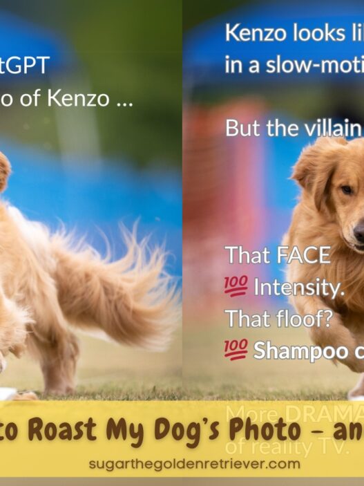 I asked ChatGPT To Roast My Dogs Photo It was Hilarious