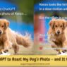 I asked ChatGPT To Roast My Dogs Photo It was Hilarious